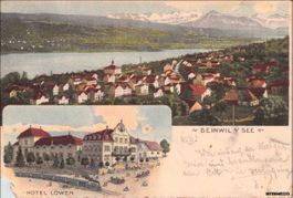 Beinwil am See AG // 1908 Hotel Löwen // Hallwilersee