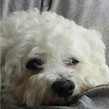 Profile image of Nedja0