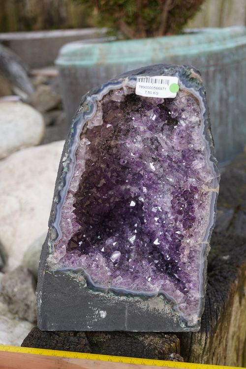 Amethyst   Druse   7.5kg     25cm x 15cm  Traumstück 7