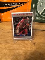 LeBron James Fleer