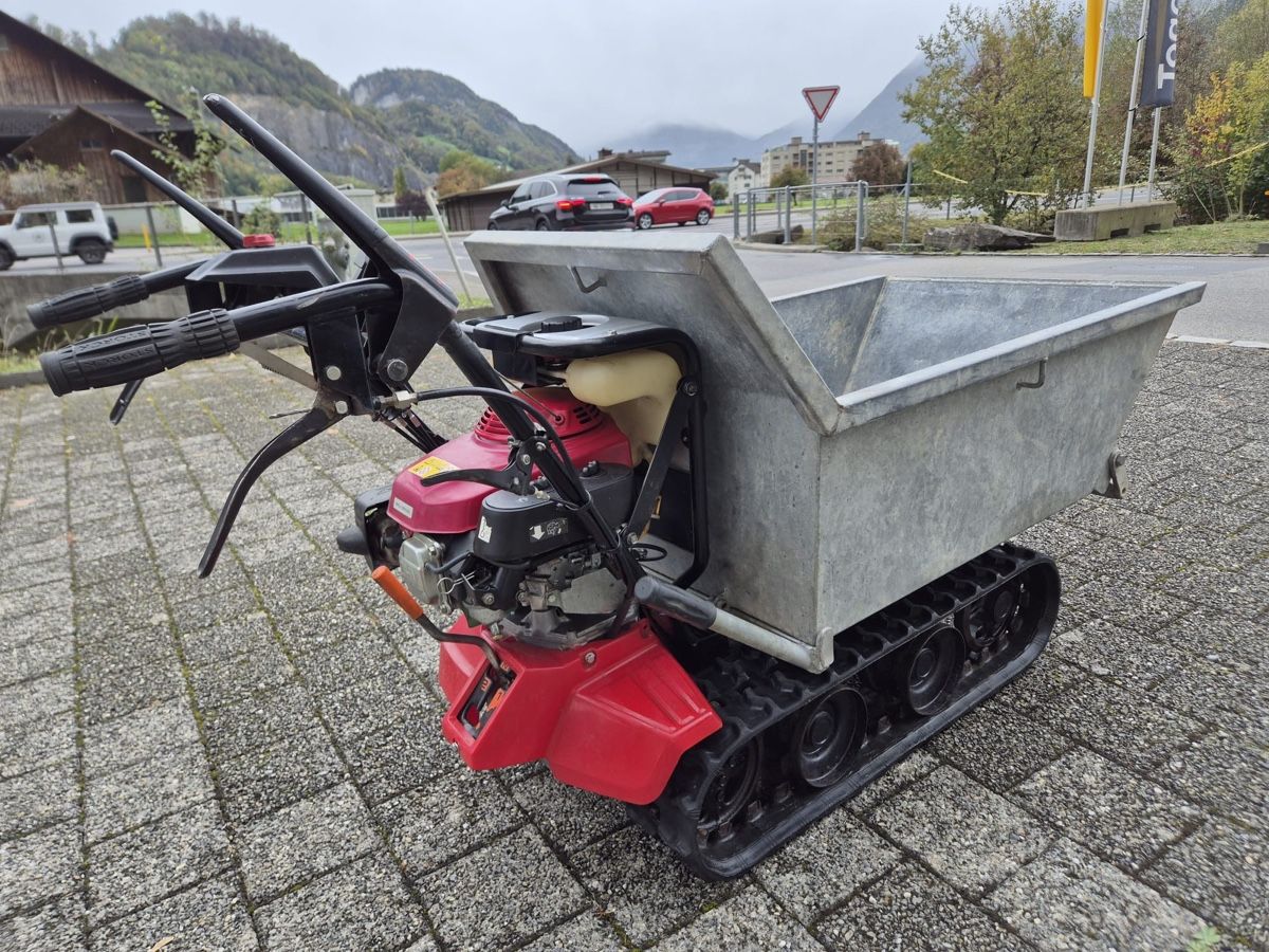 Honda Alle Maschinen: Raupentransporter – Gebraucht aus Stans von winternight 4
