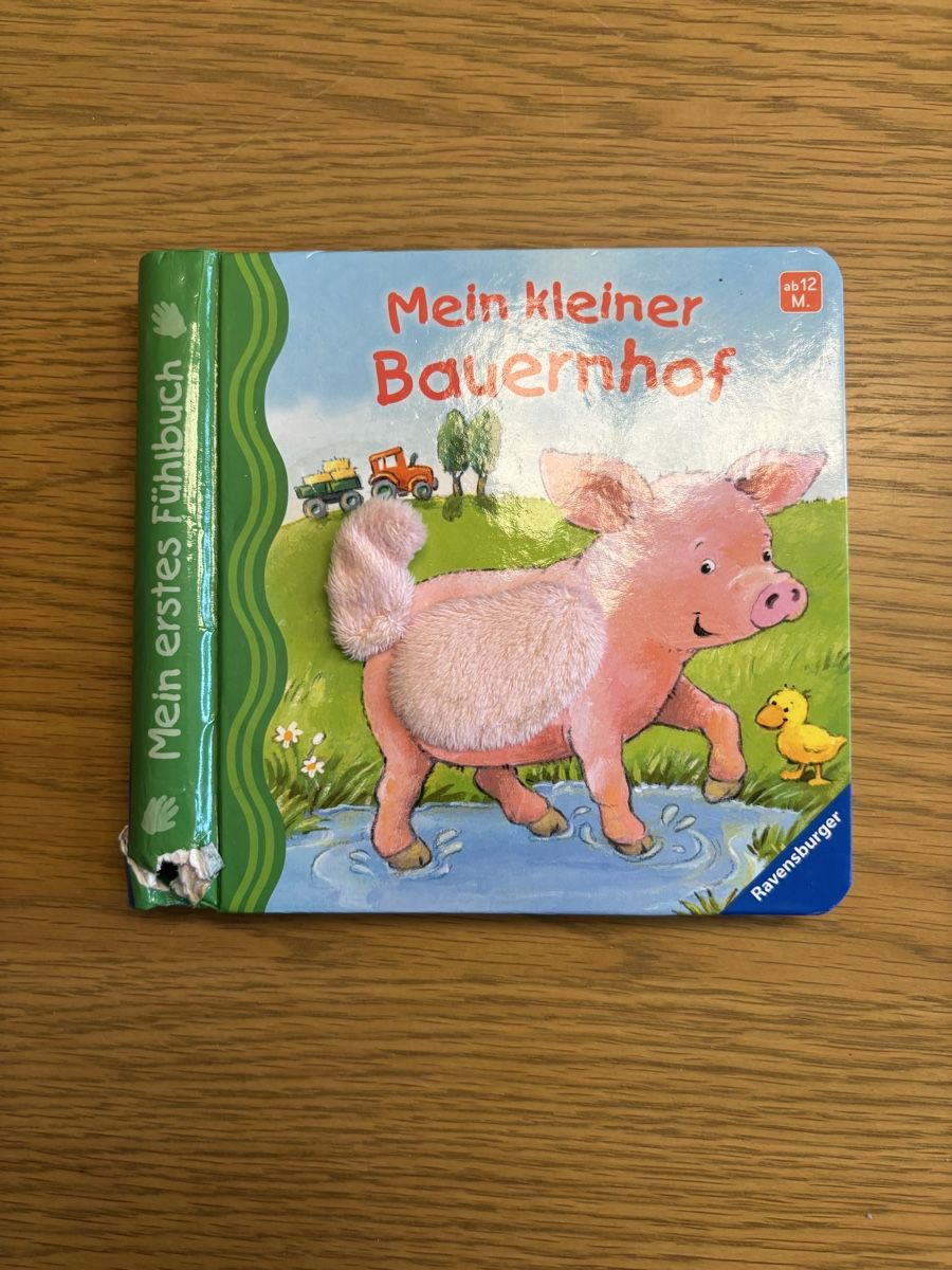 Libri: 5 Bücher für 1 Jährige – Usato da Kilchberg ZH venduto da cla_z8n7 2