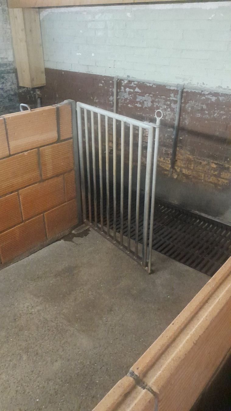Recinzioni: Schweinestall Einrichtung – Usato da Messen venduto da acker.gaul 3