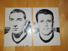 Alte yb  young boys bern autogrammkarten schweiz