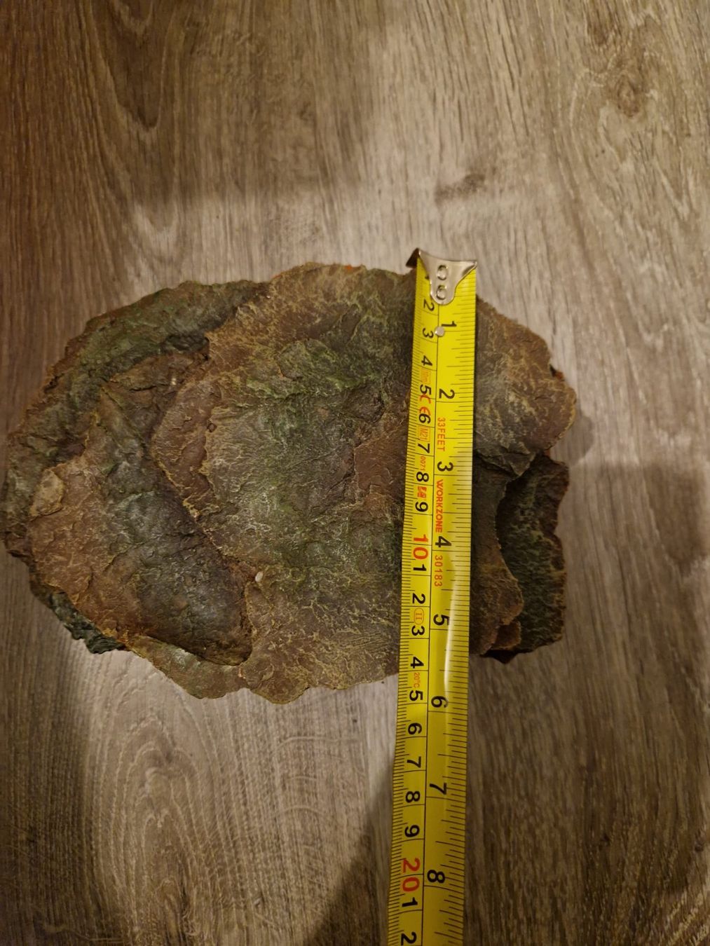 Tutte le decorazioni: 3 Schlangenhöhlen/Verstecke – Usato da Basadingen venduto da NicoleK13 2