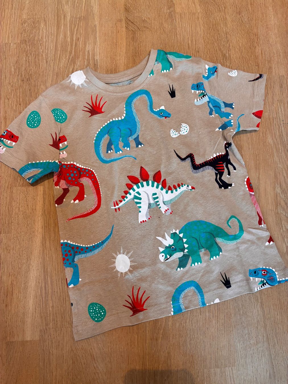 Camicie, T-shirt & Polo: Schönes Tshirt Gr. 116, Neu – Nuovo (secondo la descrizione) da richterswil venduto da lunamarie001