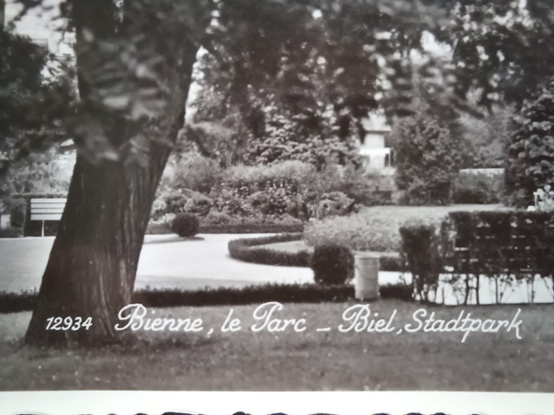 Cartoline postali: Bienne, le Parc - Biel, Stadtpark, alte Ansichtskarte – Usato da Aarau Rohr venduto da mgvw 1