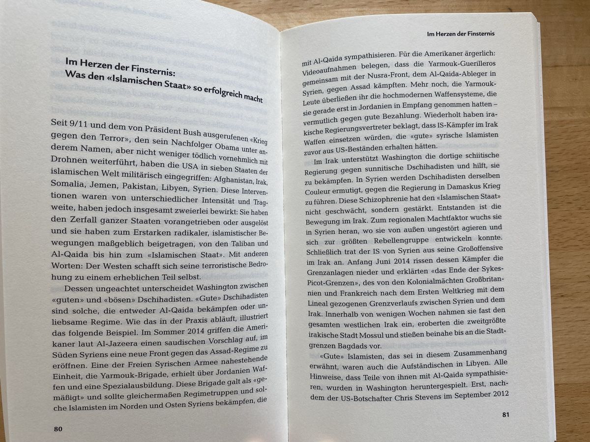 Libri: Wer den Wind sät - Michael Lüders – Usato da Schwarzenburg venduto da Michellu 7