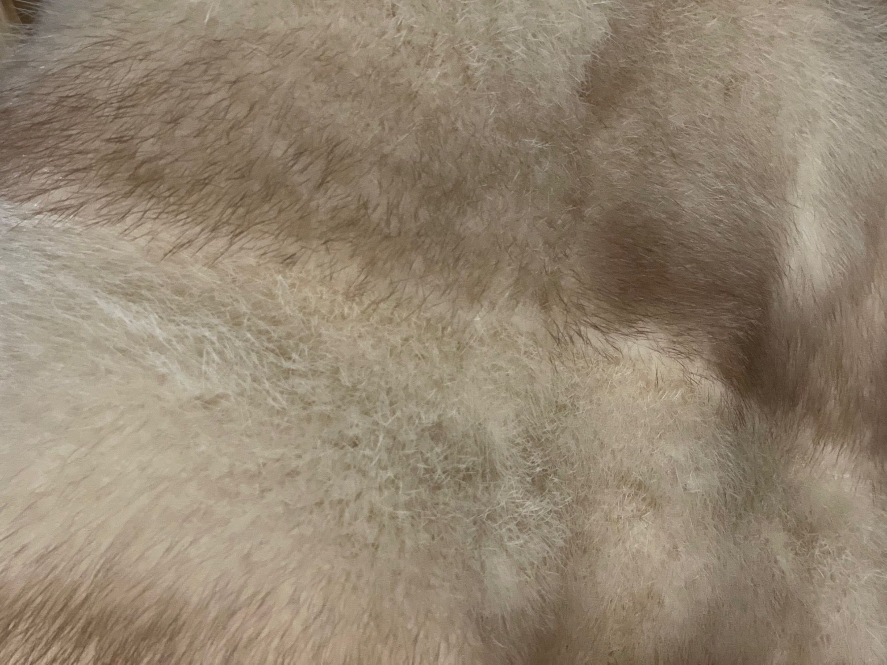 Gilet & Giacche senza maniche: Fur. Mink gilet – Usato da Genève venduto da iri_f78b 6