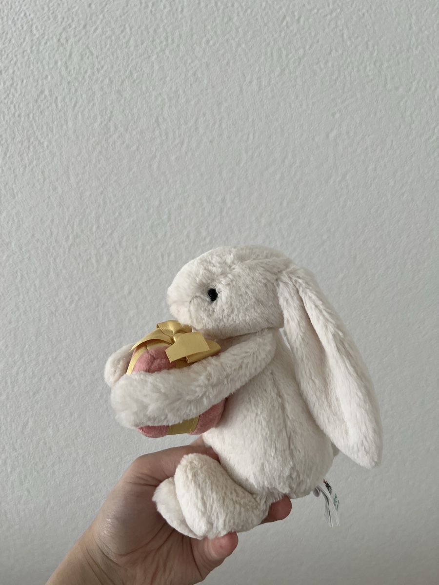 Jellycat Giocattoli: Jellycat, Bashful Bunny with Present – Usato da Dietikon venduto da rts888 2