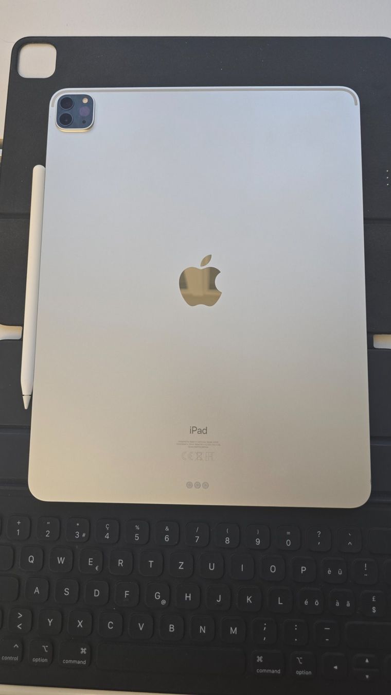 Apple Tablet PC: iPad Pro 12.9 " / Zoll, 4. Generation (8) – Gebraucht aus Winterthur von GreenSkyline 1