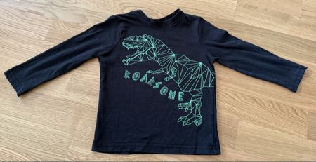 Pull dinosaure 🦖, taille 98