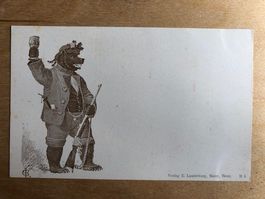 Antike Postkarte, Bärenkarte, Bern, ungelaufen