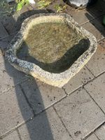 Vogeltränke 