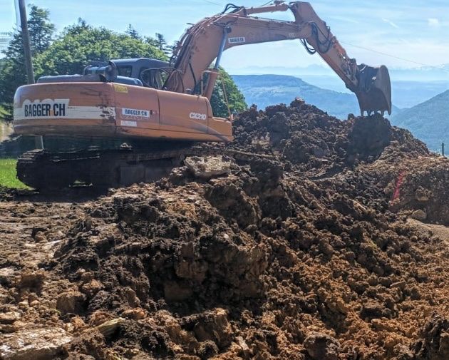 Excavateurs: Bagger Case CX 210 – D'occasion à Niederbipp par baggerch 5