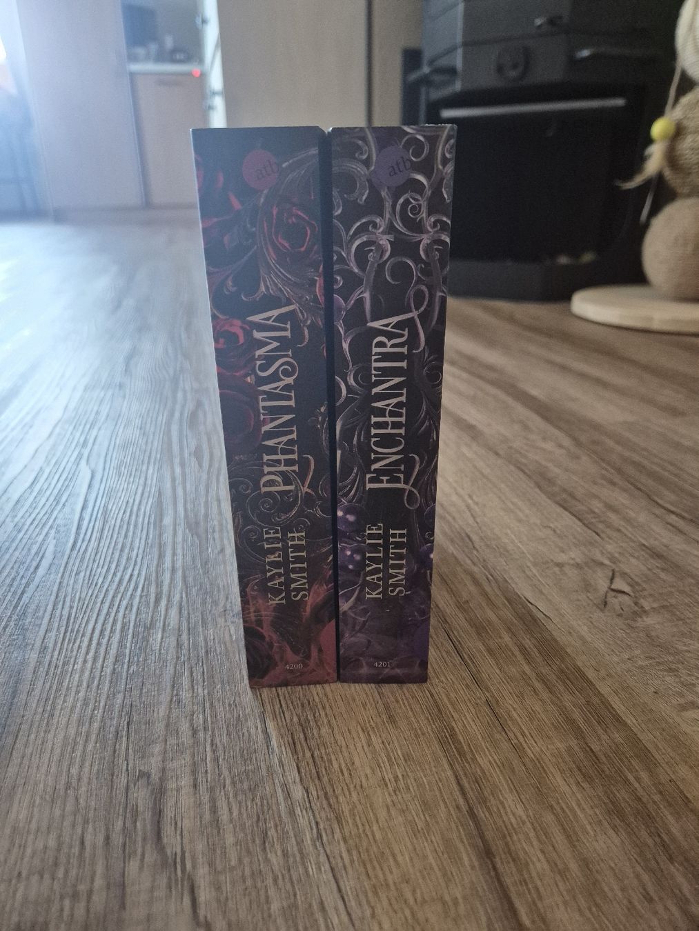 Bücher: Phantasma und Enchantra von Kaylie Smith – Neu (gemäss Beschreibung) aus Lieli von lun_2vh2 1