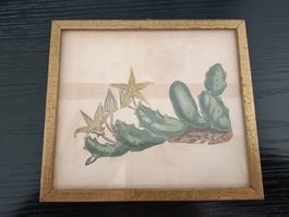 ANTIKER KUPFERSTICH GERAHMT HANDKOLORIERT 13X11.5CM