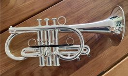 Es-Cornet Blackburn