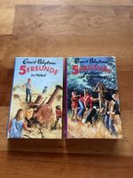 5 Freunde Bücher