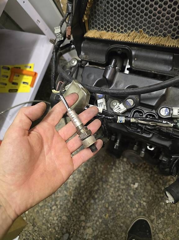 Motori: Honda cbr 600rr motor – Usato da Hinteregg venduto da timo-98 3