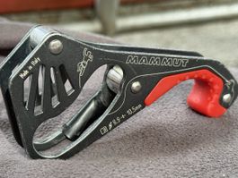 Mammut