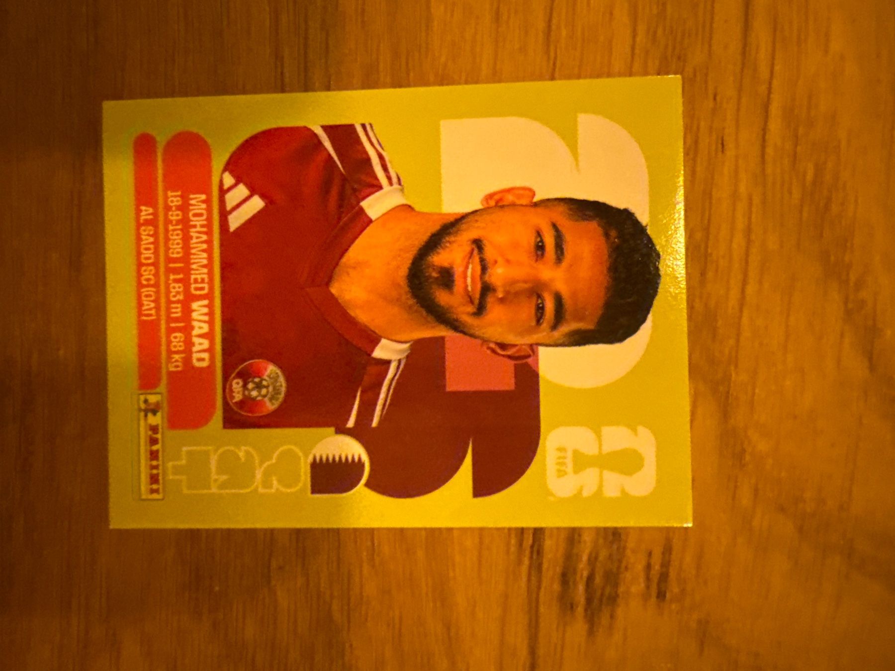 Panini Carte collezionabili: Panini – Usato da Langnau i. E. venduto da Acrjl