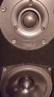 Dali floor Speakers 94x31x28cm x2