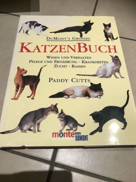 Libri: Dumont's Grosses Katzenbuch Paddy Cutts – Usato da Bergdietikon venduto da book-4-you