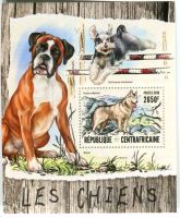 Block "Hunde". Zentralafrikanische Republik