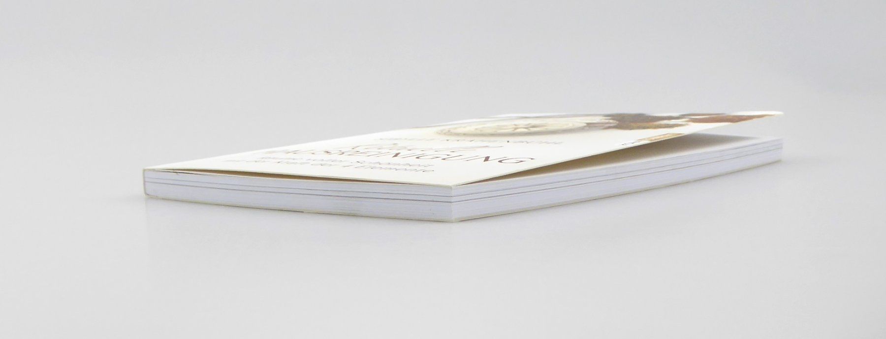 Libri: Rituelle Hausreinigung – Nuovo e nell'imballaggio originale da Mauren venduto da Yeelen 2
