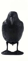 3er Vogel Schreck stehend