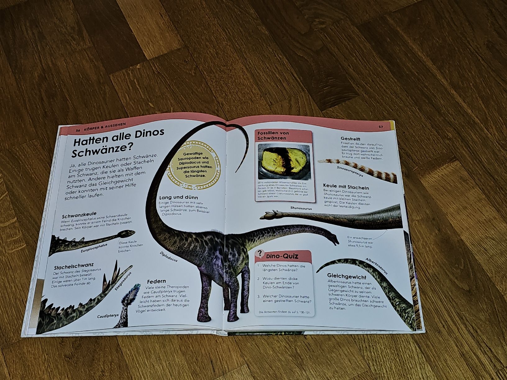 Libri: Dinos Weshalb? Deshalb! Lexikon von DK – Usato da Birmensdorf ZH venduto da eva_9hvs 3