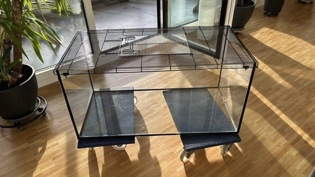 Terrario: Terrarium mit Deckel – Usato da Pratteln venduto da Peter4133