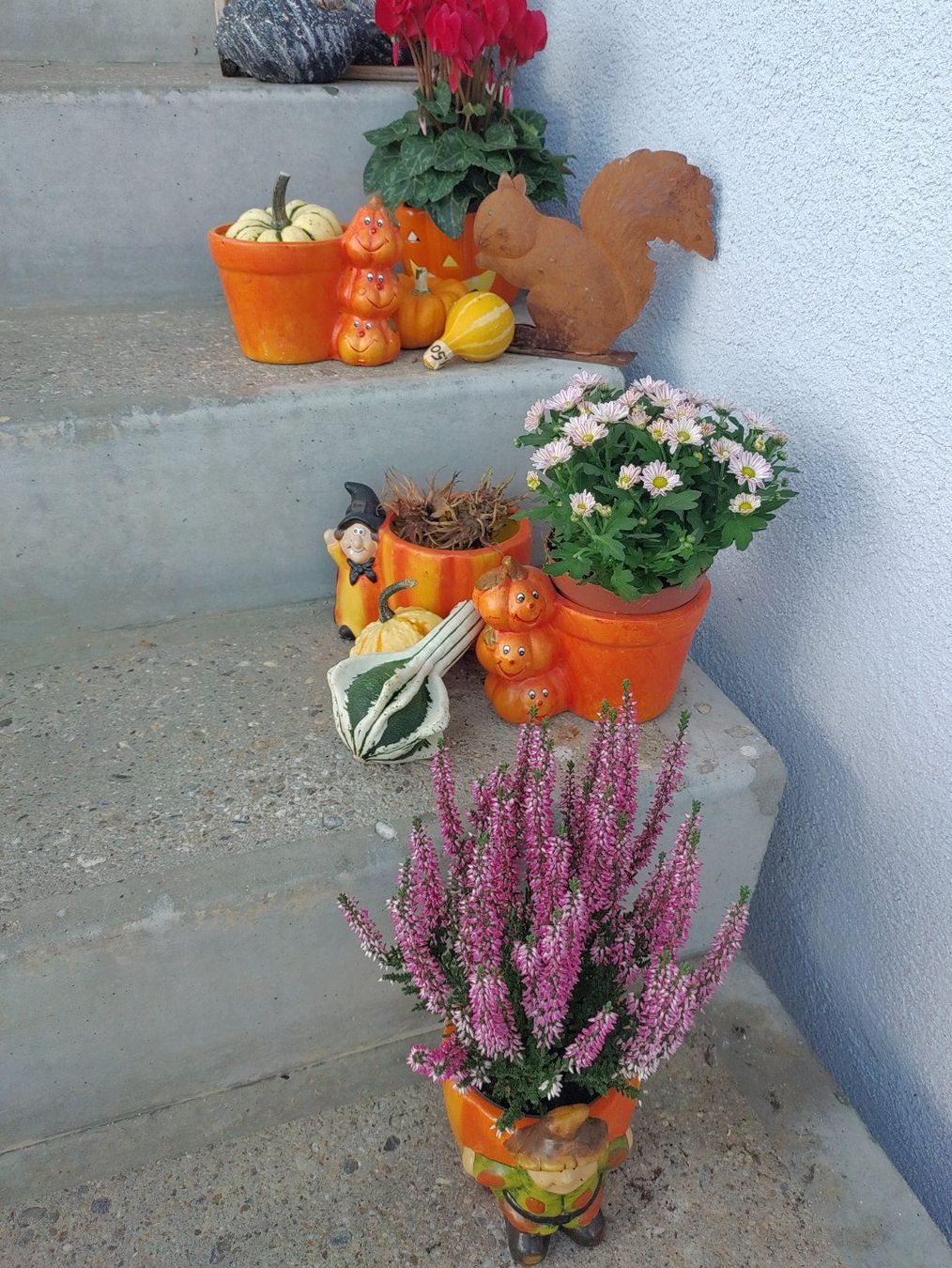 Vasi per fiori: 9 herbstliche übertöpfe – Usato da Strengelbach venduto da Phorensic_30 4