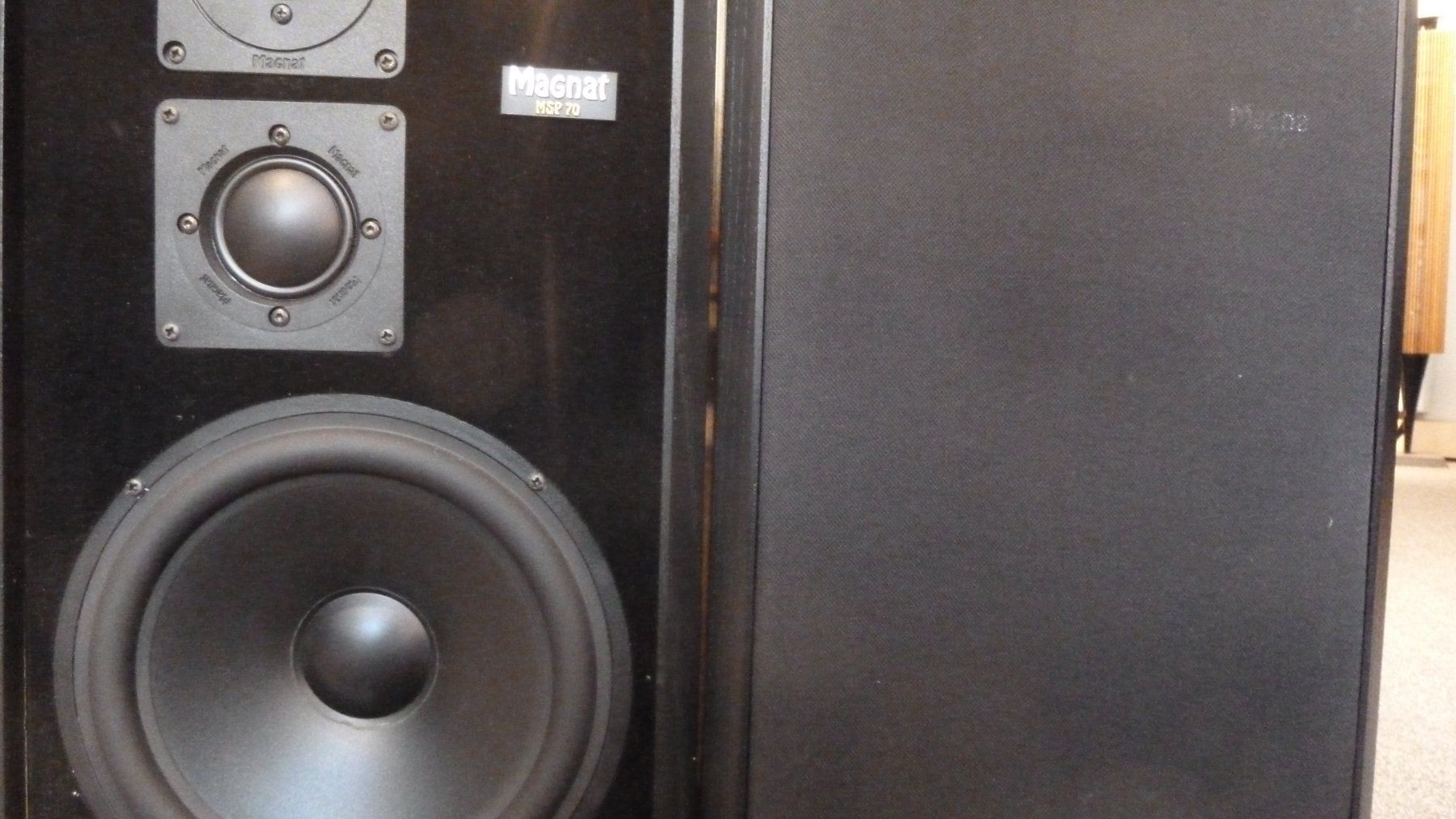 Magnat Casse acustiche: Magnat MSP 170 – Usato da Würenlingen venduto da Schneiderhifi 3