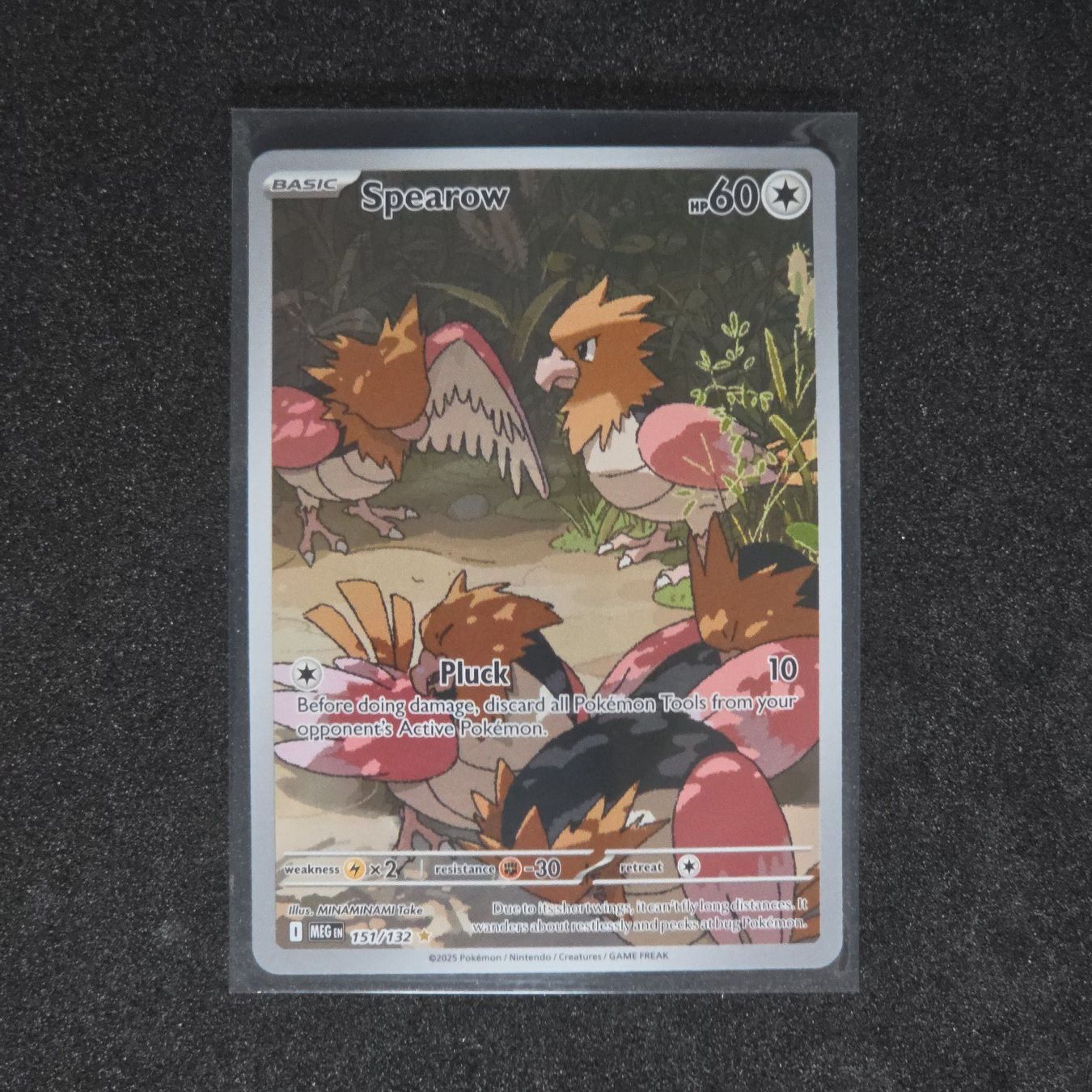 Pokémon Carte collezionabili: Spearow - MEG-151 – Usato da St. Gallen venduto da CardZelo