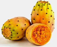10 Kaktusfeigen Samen uzs Süditalien 🌵 10 graines de Figue