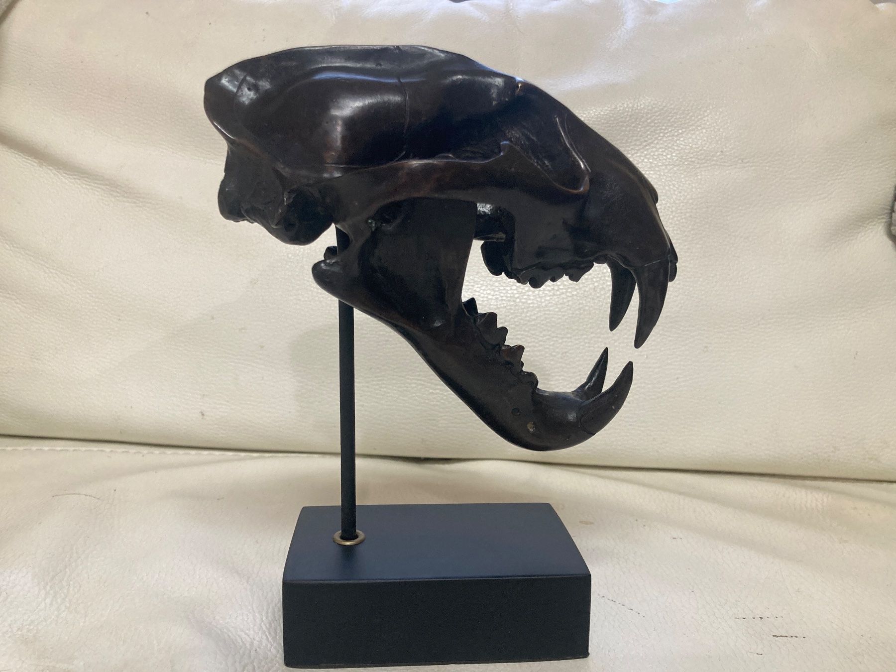 Il mondo degli animali: Bronze Guss Leopardenschädel – Usato da Gossau SG venduto da Waceera 1
