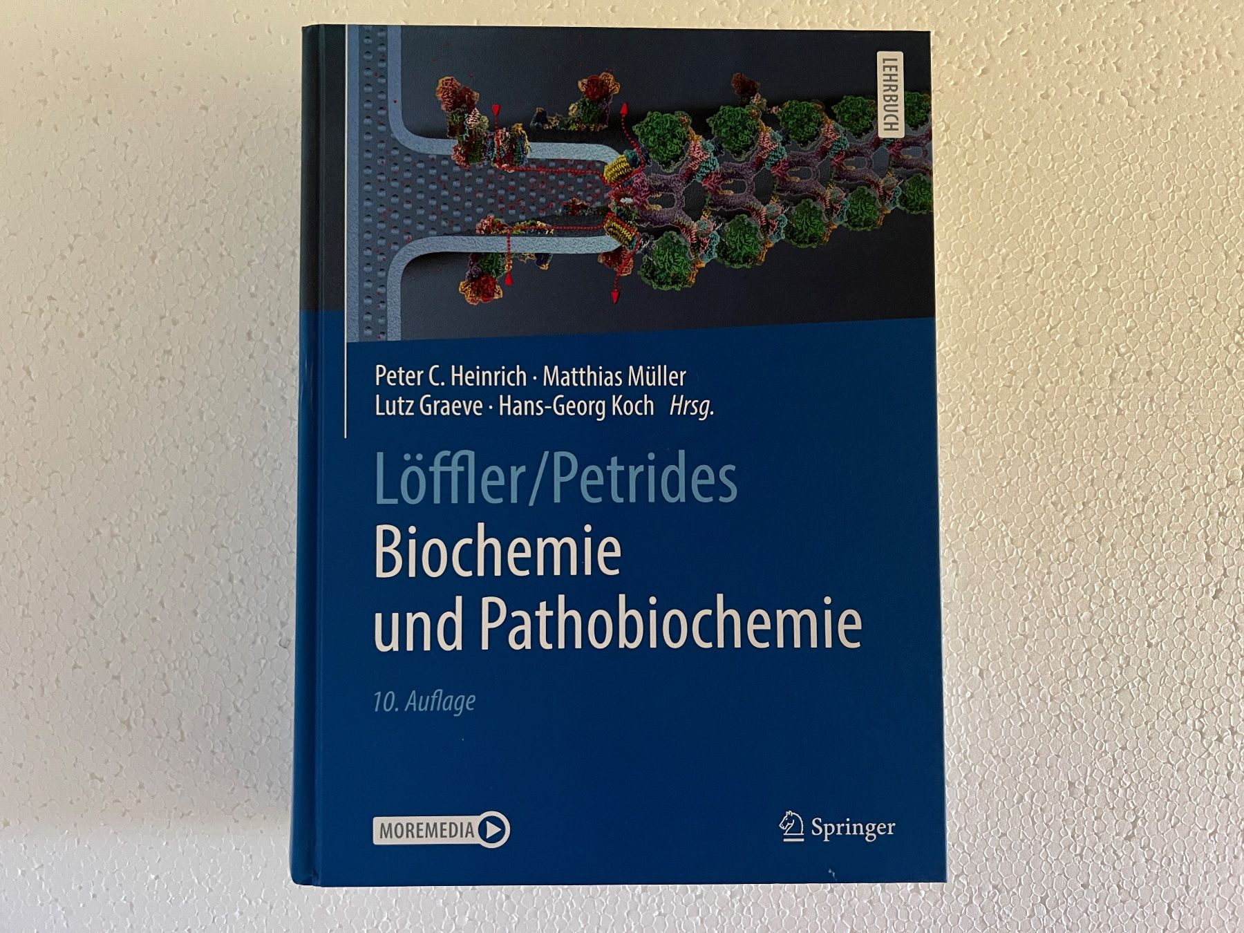 Libri: Lehrbuch Löffler/Petrides Biochemie Pathobiochemie – Nuovo (secondo la descrizione) da Häusernmoos venduto da adlerfedern