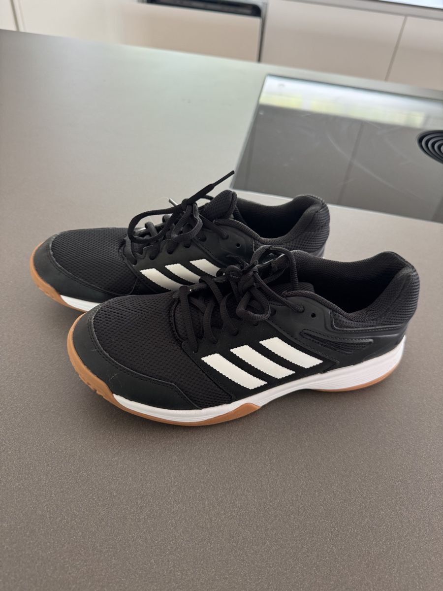 Chaussures hommes: Adidas Hallenschuhe Gr. 41 1/2 – D'occasion à lenzburg par isabelle.k.80