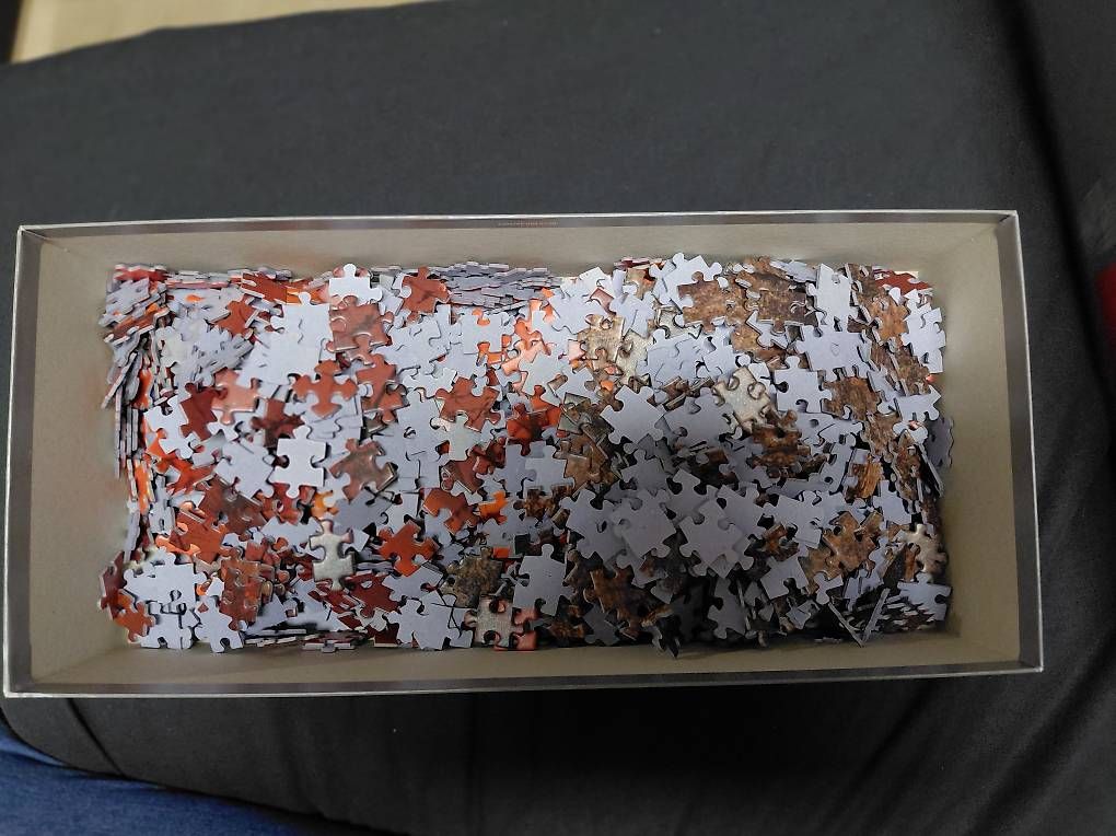 Puzzle: Puzzle Leopard bei Sonnenaufgang – Usato da Schaffhausen venduto da Sommerwind67 2