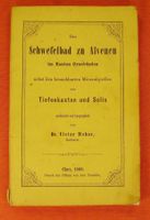 DAS SCHWEFELBAD ZU ALVENEU, 1868