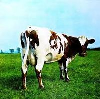 Pink Floyd – 3 LP Vinyl Paket | Original Harvest Pressungen