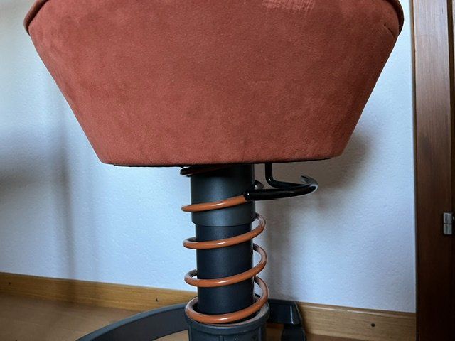 Hocker: Swopper - ergonimischer Bürostuhl – Gebraucht aus Zumikon von Lphilipp 3