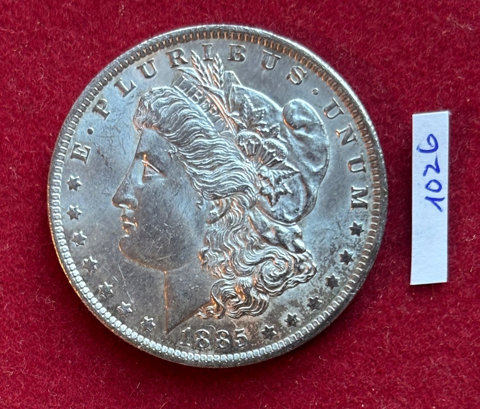 Tutti le monete: 1026 1 Dollar 19885 Silber USA – Usato da Baar venduto da bricksandmore