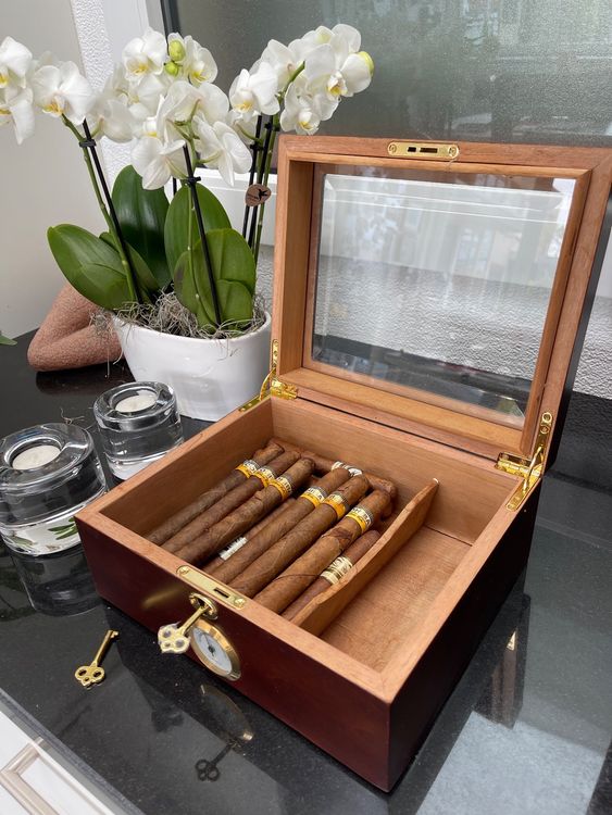 Humidor ohne Cigarren aus Zedernholz Kaufen auf Ricardo