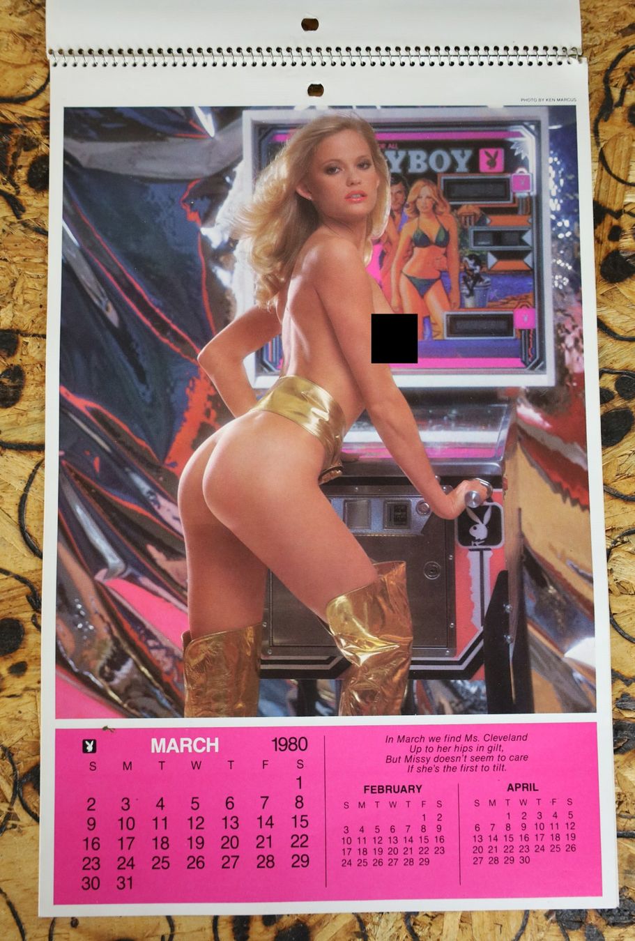 Playboy Calendari: PLAYBOY Kalender 1980 – Usato da Birrwil venduto da brandschatz_birrwil 1