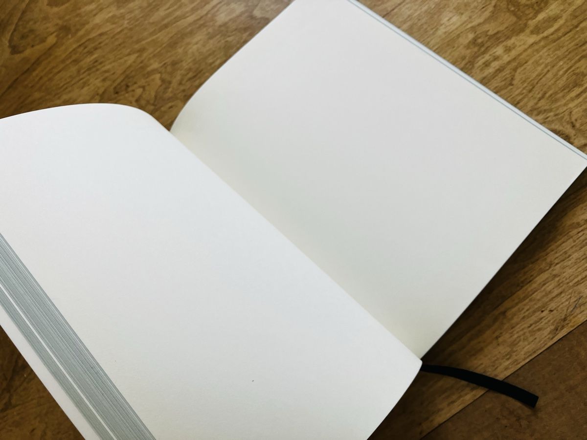 Blocchi: Notizbuch blanko – Nuovo (secondo la descrizione) da Buchs AG venduto da Allerleis 3
