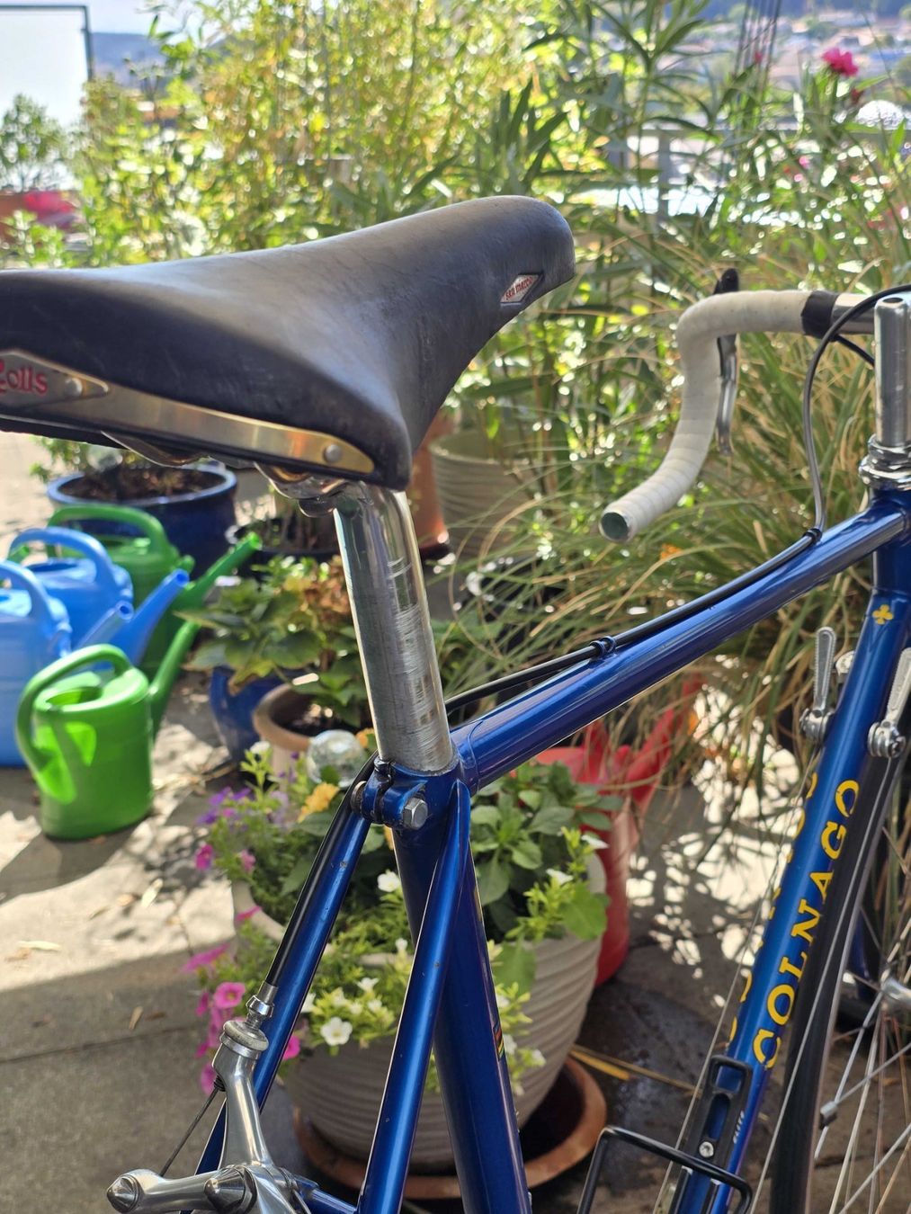 Colnago Vélos: COLNAGO Super Rennrad RH 55 – D'occasion à Stein AG par Papageno_3 7