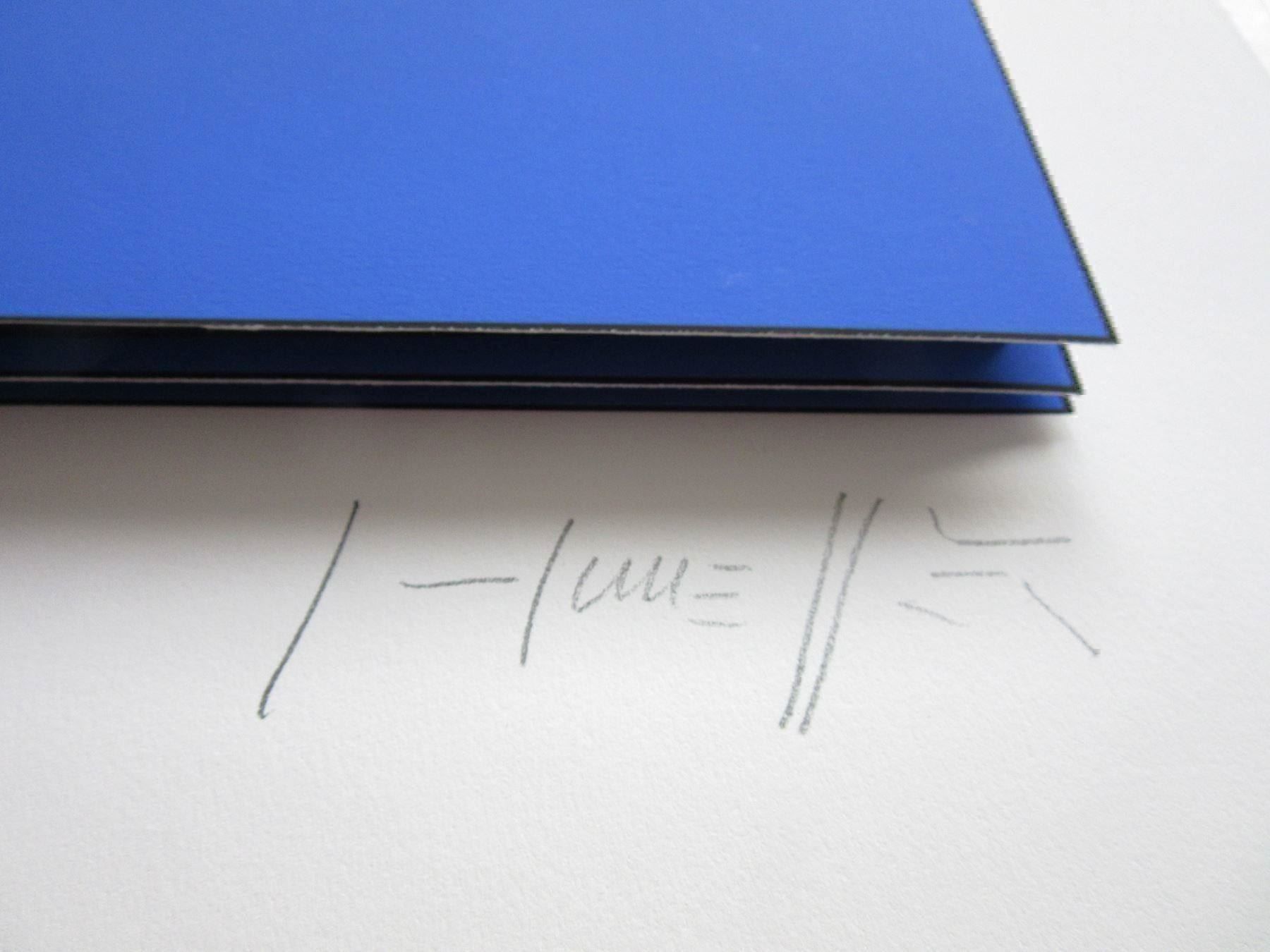Foto & Immagini: GOTTFRIED HONEGGER  ORIG.3D WERK E.A – Usato da Gersau venduto da grafik-kunst 7